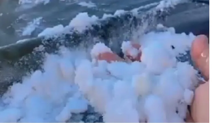 فيديو الثلوج البيضاء تغطي جبال اللوز في تبوك 